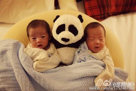 宝宝们跟大熊猫玩具合影