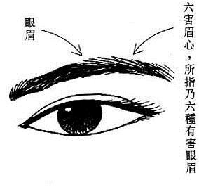 八卦命理：你的眉毛属于六害眉吗(图)