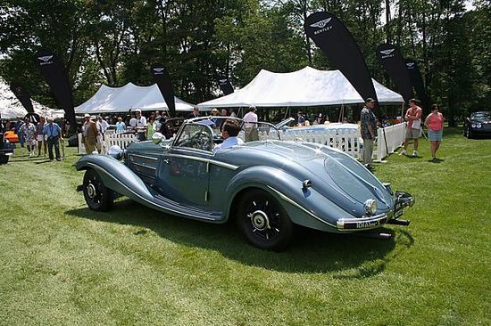 “蓝雁”（Blue Goose）