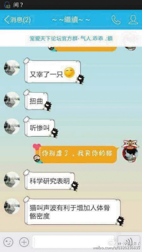 虐猫青年与宠爱天下论坛网友的交流中，显然有意挑衅。