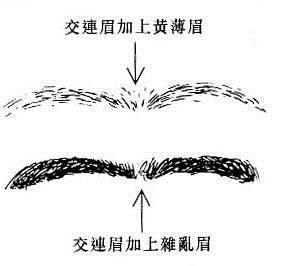 交连眉的人易冲动做傻事这里先说六害眉其中之三种形态,首先是第一种"