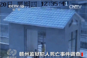 视频截图