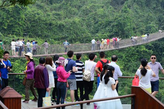 中外游客春游亚龙湾热带天堂森林旅游区。(黄庆优摄)