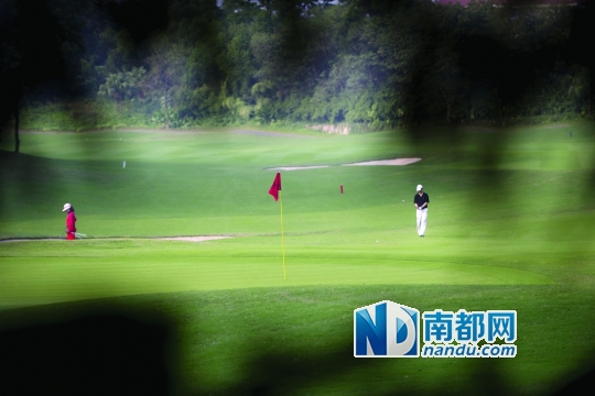 2014年11月26日,市民在观澜湖高尔夫球场打球。观澜湖高尔夫球场也是此次整改中被要求“退出”的6家深圳球场之一。南都记者 陈文才 摄