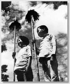 中国抗日小英雄的传奇故事