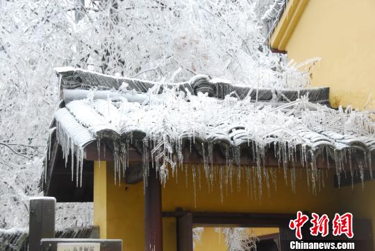 浙江天目山迎30年来最强冻雨 成江南冰雪世界