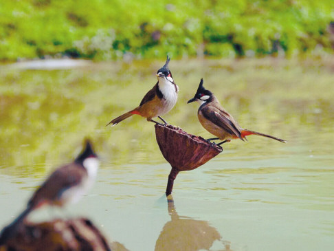 资料图。
