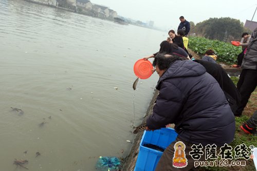 放生活动现场