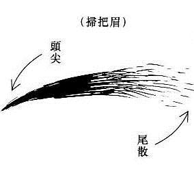 八卦命理:扫把眉的人喜欢勾心斗角(图)