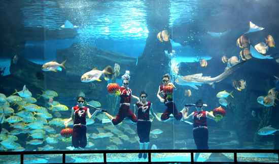 泉城極地海洋世界的“美人魚表演”
