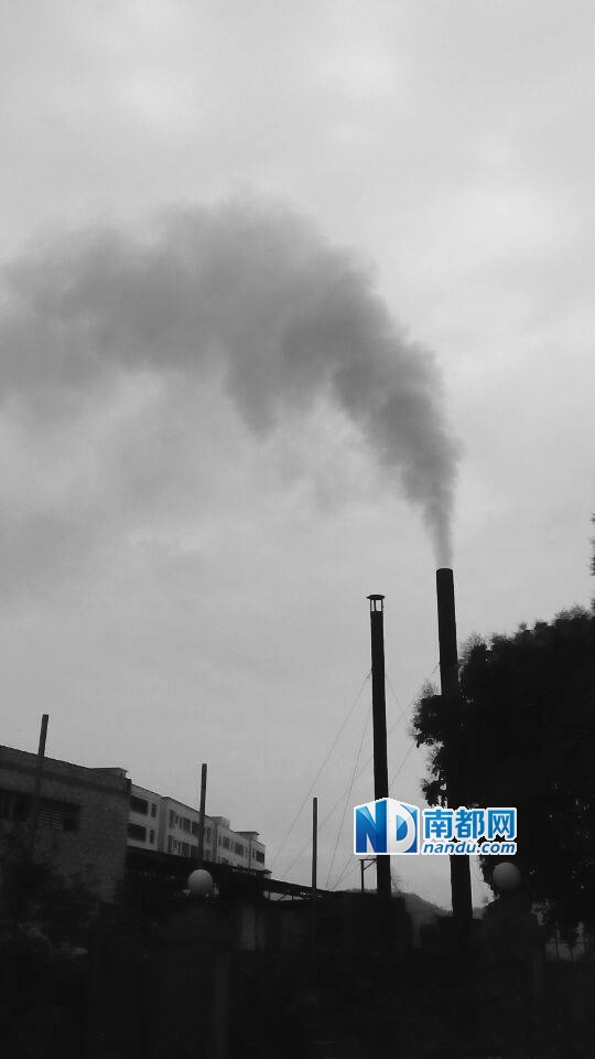 惠阳区新圩龙盛发泡胶厂排黑烟。网友供图