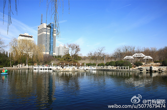 泉城公园(图:@竹梅留影)