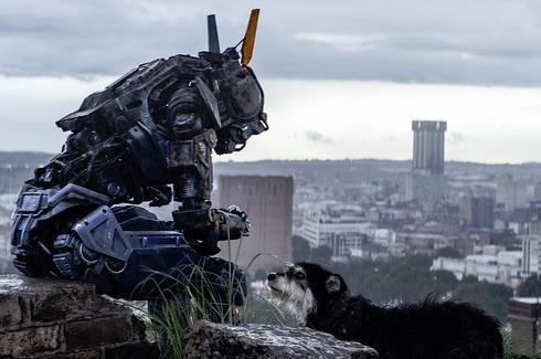 北美票房查派惨淡登顶