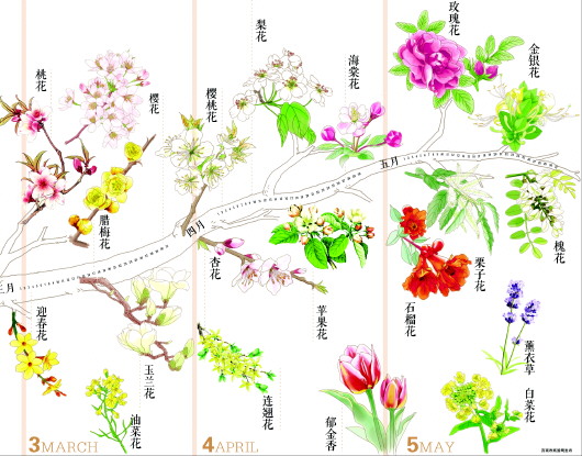 济南市旅游局发布2015春季赏花指南