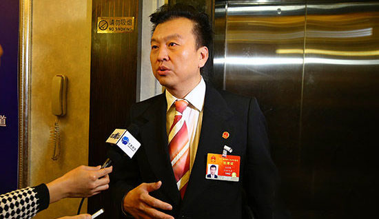 全国人大代表,中央电视台节目主持人张泽群接受记者采访