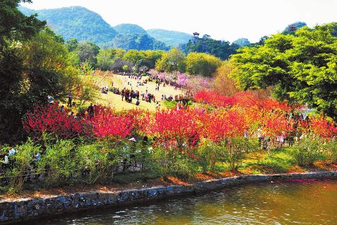 龙潭公园桃花、紫玉兰竞相开放