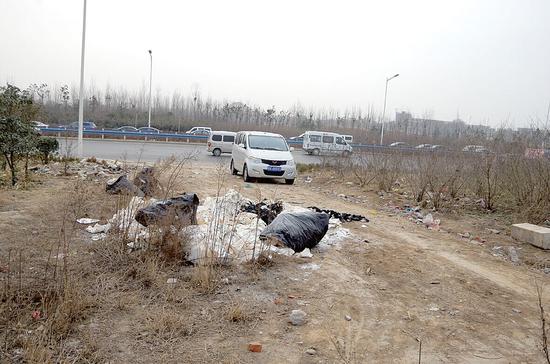 航海路生态廊道未移交,就有垃圾跑进绿化带