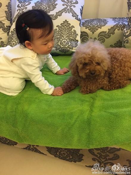 大S晒女儿和狗狗玩耍照