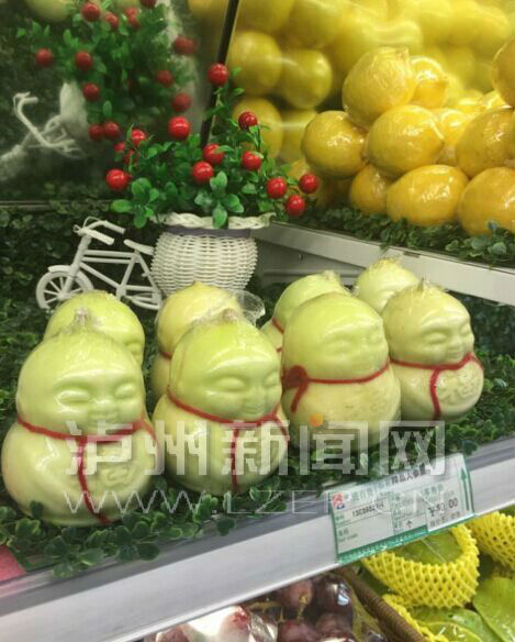 网友Snail供图