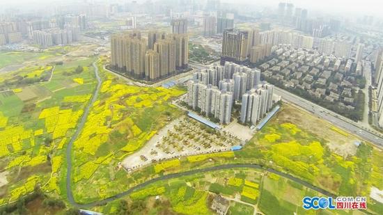 航拍成都：水泥丛林中的春天