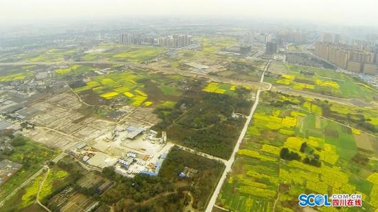 航拍成都：水泥丛林中的春天