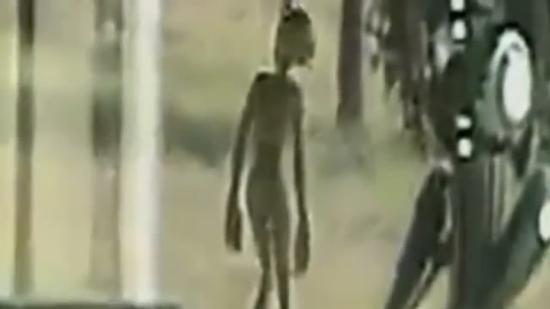 外星人视频截图片段