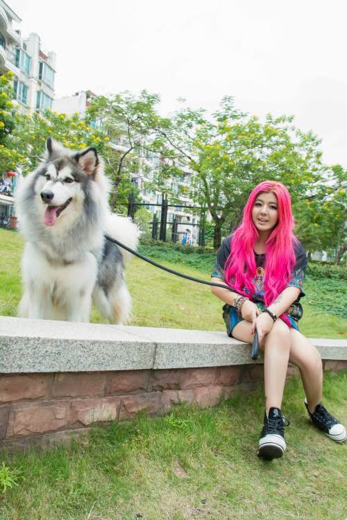 刘雅婷与宠物合照