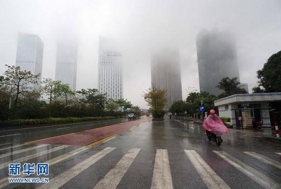 新华社记者 周华 摄