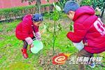 五星社区小朋友为小树苗浇水培土。