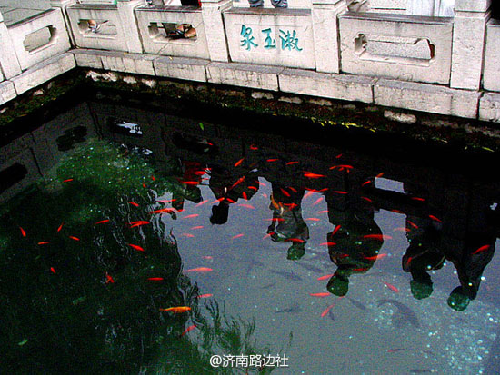 漱玉泉（图：@济南路边社）