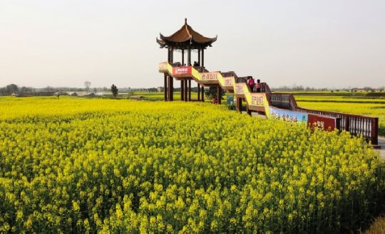 张池村为摄影爱好者建造的观景亭。省旅游局供图