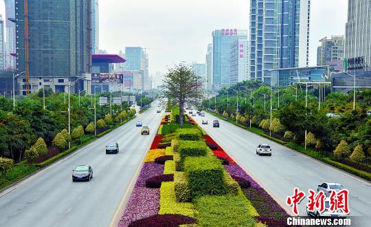 图为南宁城市景观一角。 段柳建 摄