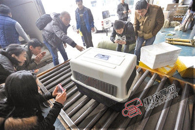 男子花千元将企鹅空运到大连