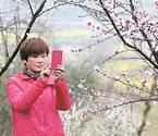 大冶桃花旅游節(jié)迎客2萬