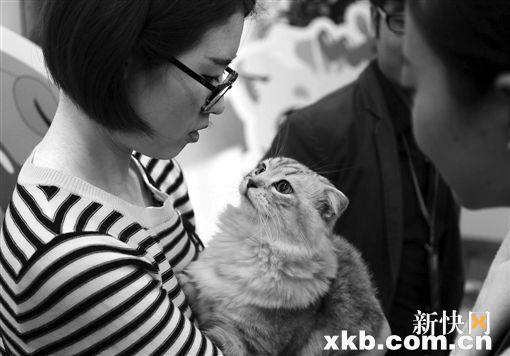 猫咪