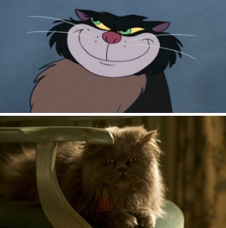 动画/真人版中后妈的猫Lucifer，眼神一猫一样！