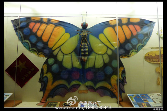 潍坊风筝博物馆展品（图：@旅客老王）