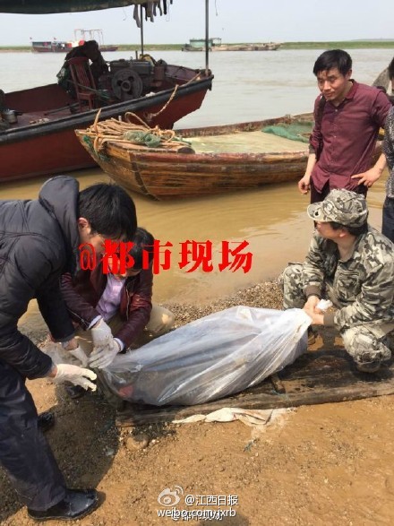 鄱阳县莲湖乡朱家村有多少人口_鄱阳县莲湖乡蒋坊村