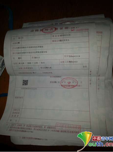 在检疫部门驻德州金锣检疫处,记者拍到的嫌疑人杨维国涉嫌造假的检疫证明。(中国青年网记者 宿希强 摄)