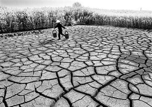 湖北枝江市遭遇干旱 田间蓄水池已干枯(图)_新浪湖北_新浪网