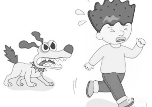 石家庄11岁女孩鼻子险被狗咬掉 血肉模糊