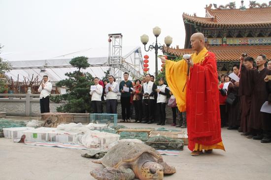 达照法师广州揭阳双峰古寺弘法之放生