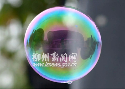 双渔汇
