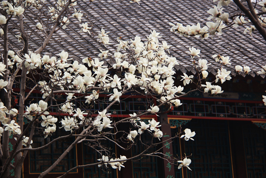 趵突泉“花花世界”