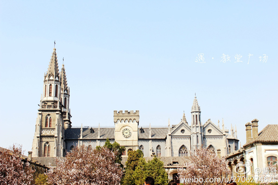 山东大学洪楼校区(图:@Jeungyeepo)
