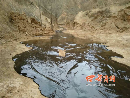 中石油长庆油田发生原油泄漏 数百米山沟变油