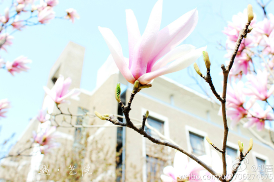 山东大学洪楼校区(图:@遇吾)