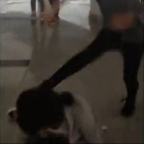 重庆女学生打架视频曝光:飞踹掴掌拽头发