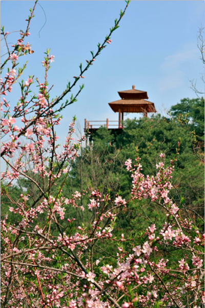 九如山