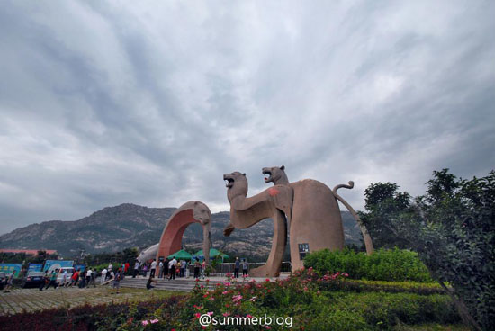 青岛森林野生动物世界（图：@summerblog)